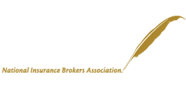 niba-logo niba-logo
